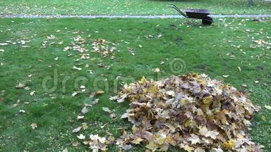 秋天公园草地上一堆干的五颜六色的叶子和空的手推车。 4K